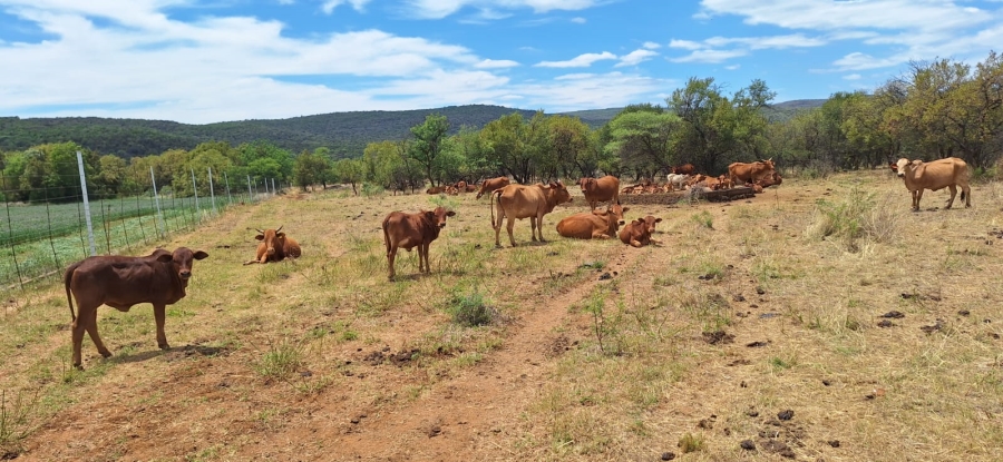 2 Bedroom Property for Sale in Swartruggens North West